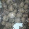 sun-dried walnuts